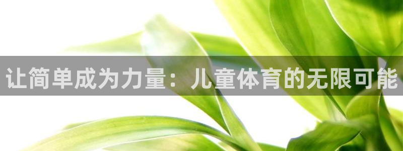 熊猫体育网站