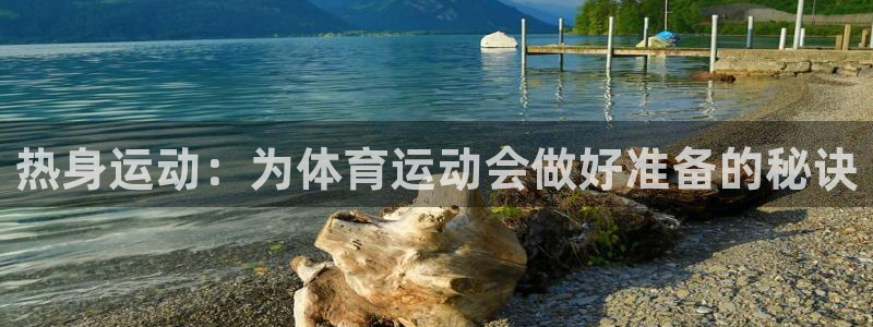熊猫体育官网