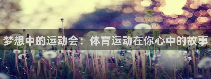 熊猫体育网址