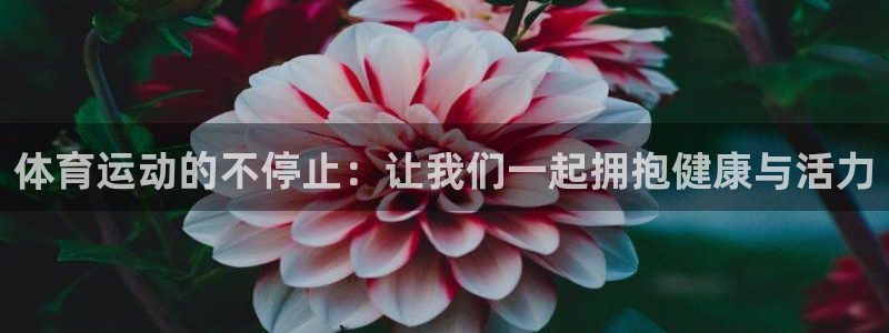 熊猫体育网址