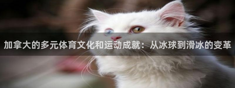 下载熊猫体育：加拿大的多元体育文化和运动成就：从冰球到滑冰的变革