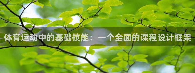 熊猫体育怎么样：体育运动中的基础技能：一个全面的课程设计框架