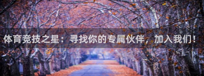 熊猫体育公园：体育竞技之星：寻找你的专属伙伴，加入我们！