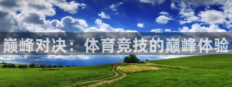 熊猫体育官网首页入口