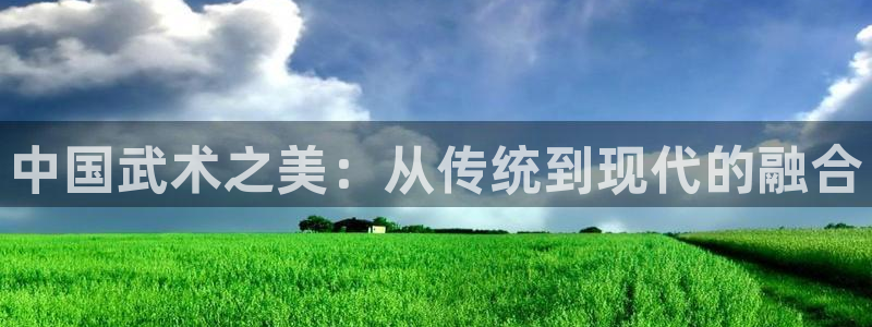 成都熊猫体育公园