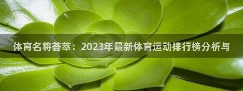 熊猫体育官方网站
