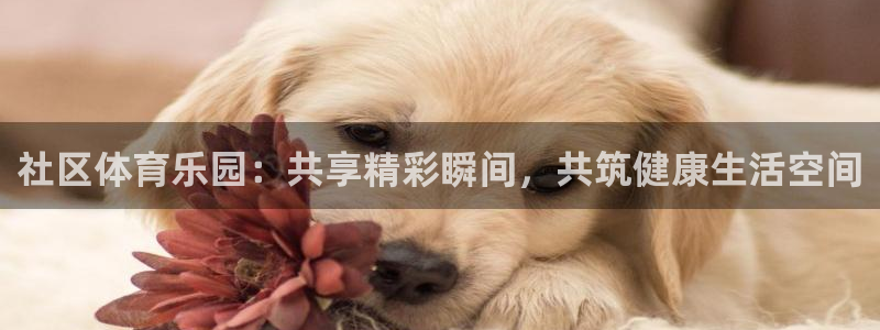 熊猫体育app官方入口