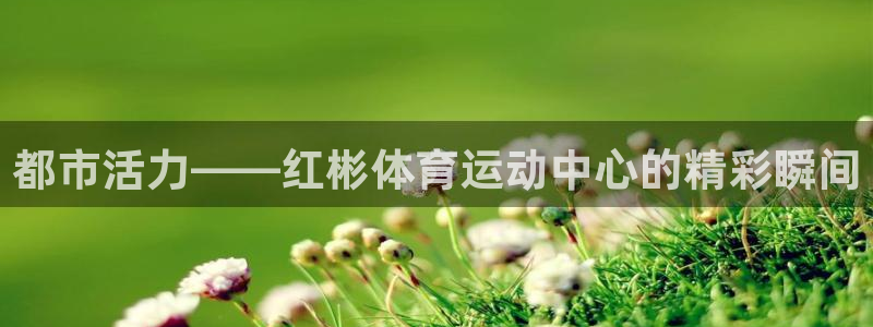 熊猫体育网址
