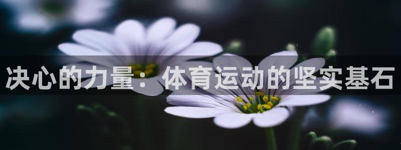 熊猫体育怎么样