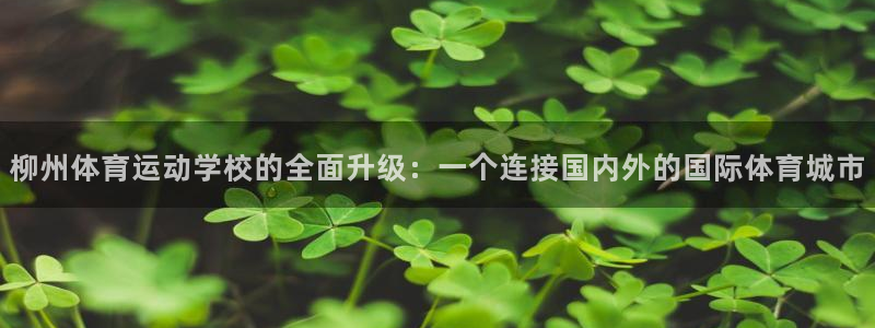 熊猫体育平台