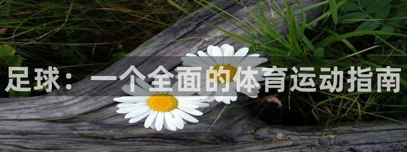熊猫体育在线