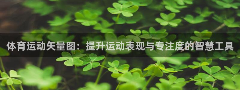 熊猫体育直播nba：体育运动矢量图：提升运动表现与专注度的智慧工具