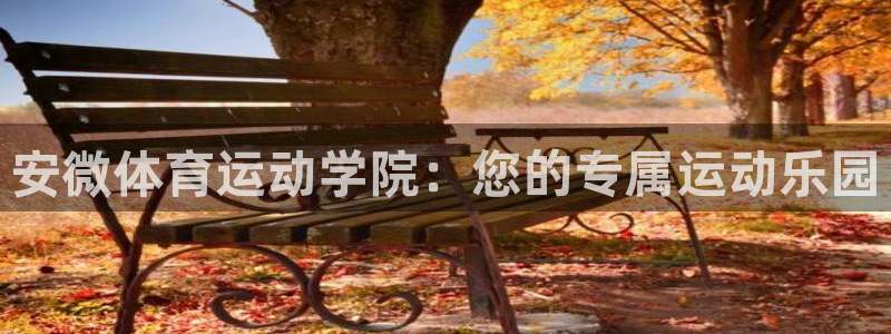 熊猫体育平台官网：安微体育运动学院：您的专属运动乐园