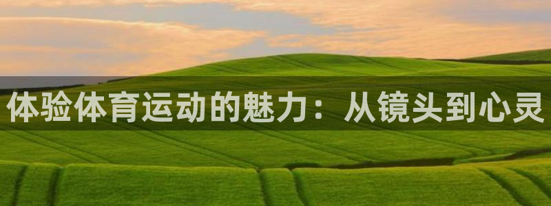 熊猫体育官网首页入口：体验体育运动的魅力：从镜头到心灵
