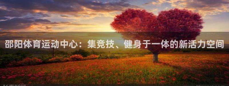 动感熊猫体育公园：邵阳体育运动中心：集竞技、健身于一体的新活力空间