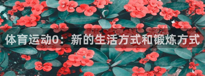 熊猫体育手机版下载：体育运动0：新的生活方式和锻炼方式